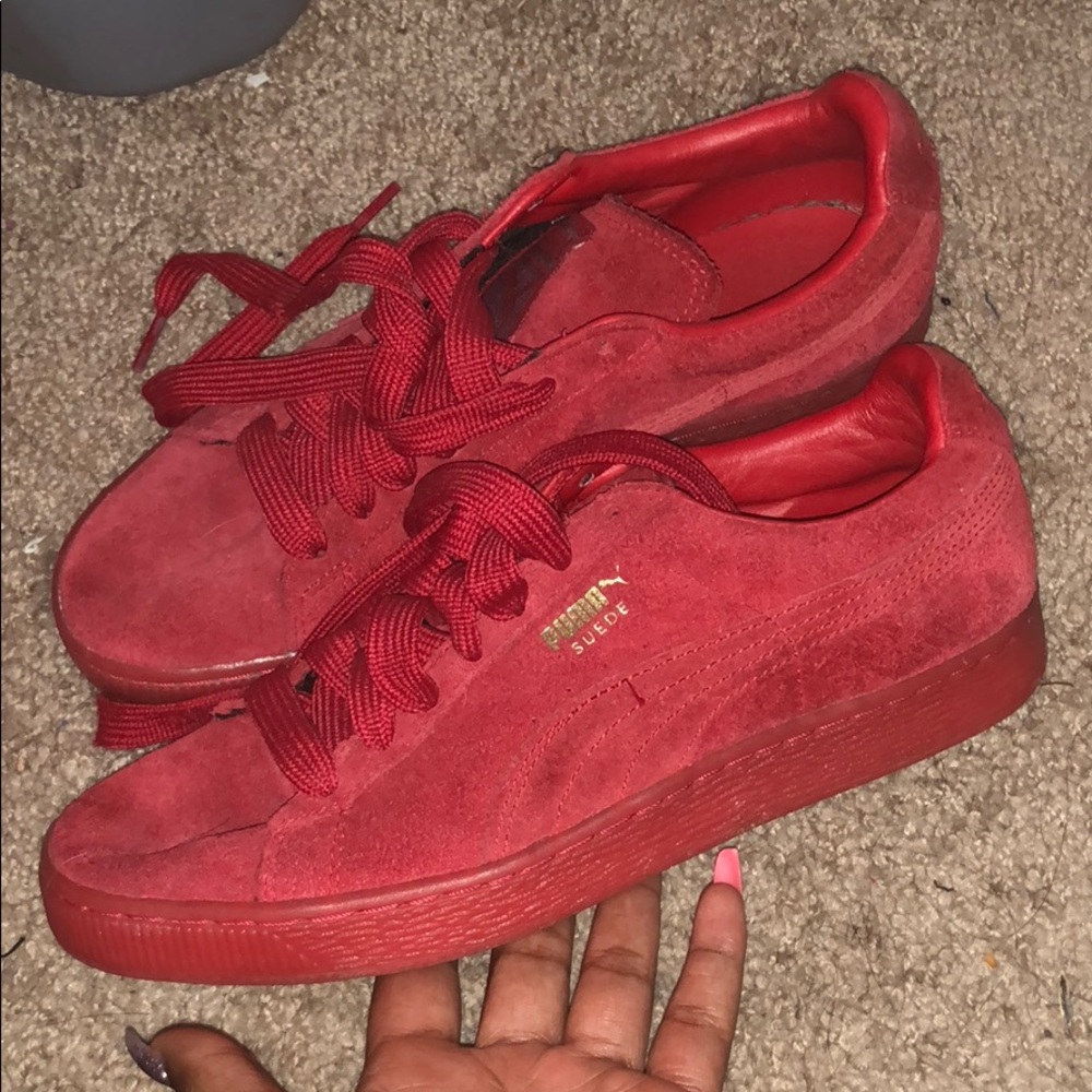 Red pumas